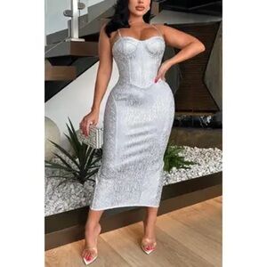 NWT Silver body.com dress